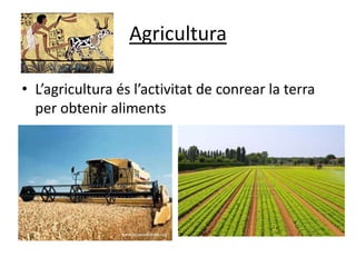 Agricultura

• L’agricultura és l’activitat de conrear la terra
  per obtenir aliments
 