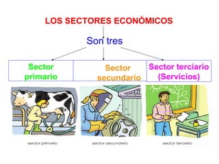 LOS SECTORES ECONÓMICOS
Son tres
Sector
primario
Sector
secundario
Sector terciario
(Servicios)
 