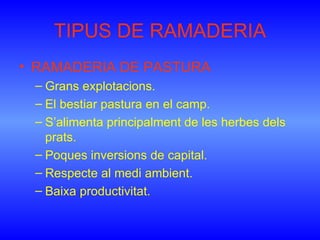 TIPUS DE RAMADERIA <ul><li>RAMADERIA DE PASTURA </li></ul><ul><ul><li>Grans explotacions. </li></ul></ul><ul><ul><li>El be...