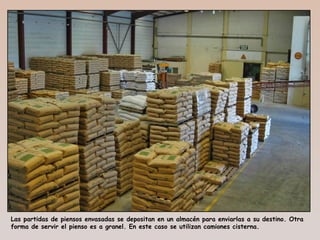 Las partidas de piensos envasadas se depositan en un almacén para enviarlas a su destino. Otra
forma de servir el pienso es a granel. En este caso se utilizan camiones cisterna.
 