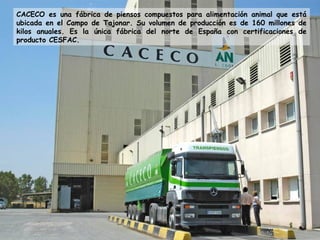 CACECO es una fábrica de piensos compuestos para alimentación animal que está
ubicada en el Campo de Tajonar. Su volumen de producción es de 160 millones de
kilos anuales. Es la única fábrica del norte de España con certificaciones de
producto CESFAC.
 