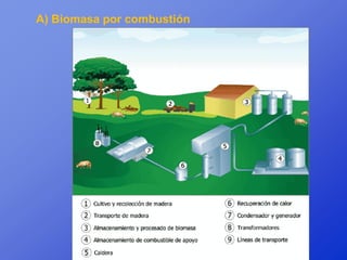A) Biomasa por combustión
 