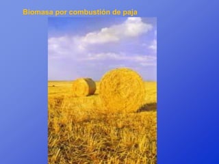 Biomasa por combustión de paja
 