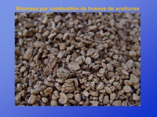 Biomasa por combustión de huesos de aceitunas
 