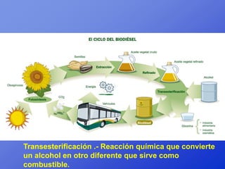 Transesterificación .- Reacción química que convierte
un alcohol en otro diferente que sirve como
combustible.
 