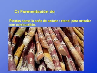 C) Fermentación de

Plantas como la caña de azúcar : etanol para mezclar
con combustible.
 