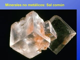 Minerales no metálicos: Sal común
 