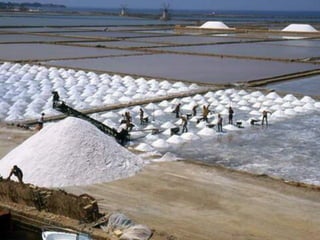 Minerales no metálicos: Sal común
 