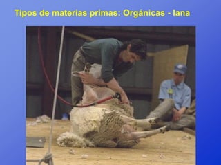 Tipos de materias primas: Orgánicas - lana
 