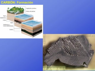 CARBÓN: Formación
 