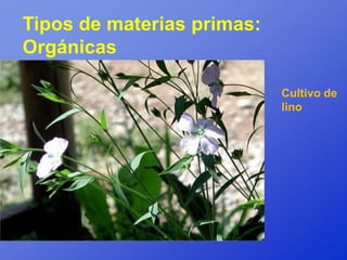 Tipos de materias primas:
Orgánicas

                            Cultivo de
                            lino
 