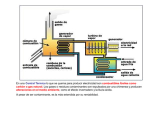 En una Central Térmica lo que se quema para producir electricidad son combustibles fósiles como
carbón o gas natural. Los gases o residuos contaminantes son expulsados por una chimenea y producen
alteraciones en el medio ambiente, como el efecto invernadero y la lluvia ácida.
A pesar de ser contaminante, es la más extendida por su rentabilidad.
 