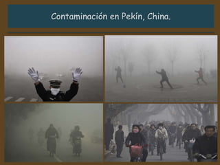 Sector Secundario Illueca