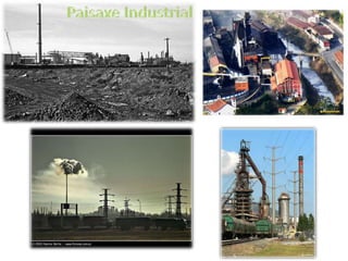 Sector secundario
