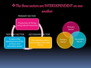 Sectors of economy | PPTX