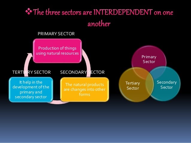 how primary secondary and tertiary sectors are interdependent