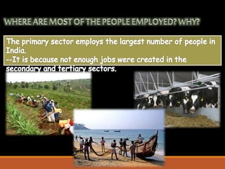 Sectors of indian economy class 10