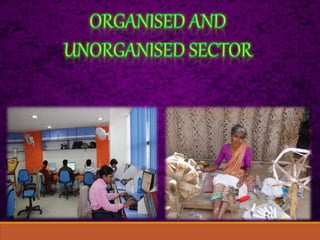 Sectors of indian economy class 10