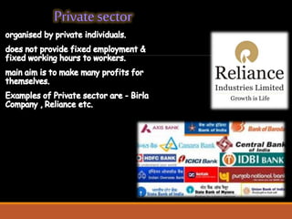 Sectors of indian economy class 10