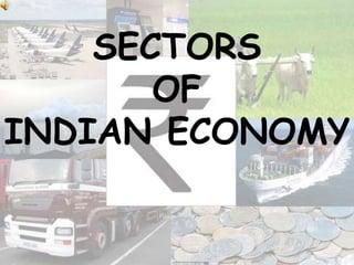 SECTORS
OF
INDIAN ECONOMY
 