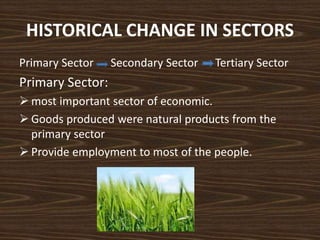 HISTORICAL CHANGE IN SECTORS
Primary Sector Secondary Sector Tertiary Sector
Primary Sector:
 most important sector of economic.
 Goods produced were natural products from the
primary sector
 Provide employment to most of the people.
 