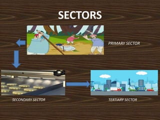 SECTORS
PRIMARY SECTOR
SECONDARY SECTOR TERTIARY SECTOR
 