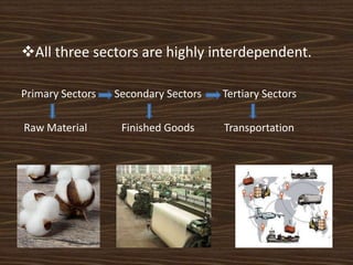 All three sectors are highly interdependent.
Primary Sectors Secondary Sectors Tertiary Sectors
Raw Material Finished Goods Transportation
 