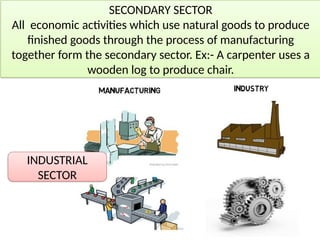 SECONDARY SECTOR
All economic activities which use natural goods to produce
finished goods through the process of manufacturing
together form the secondary sector. Ex:- A carpenter uses a
wooden log to produce chair.
INDUSTRIAL
SECTOR
 