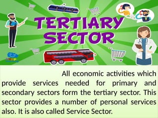 All economic activities which
provide services needed for primary and
secondary sectors form the tertiary sector. This
sector provides a number of personal services
also. It is also called Service Sector.
 
