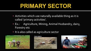 ▪ Activities which use naturally available thing as it is
called ‘primary activities’.
▪ Ex.: Agriculture, Mining, Animal Husbandry, dairy,
Forestry etc
▪ It is also called as agriculture sector
 