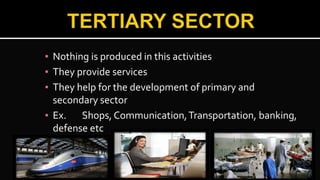 ▪ Nothing is produced in this activities
▪ They provide services
▪ They help for the development of primary and
secondary sector
▪ Ex. Shops, Communication,Transportation, banking,
defense etc
 