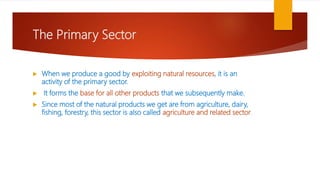 The Primary Sector
 When we produce a good by exploiting natural resources, it is an
activity of the primary sector.
 It forms the base for all other products that we subsequently make.
 Since most of the natural products we get are from agriculture, dairy,
fishing, forestry, this sector is also called agriculture and related sector.
 