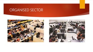 ORGANISED SECTOR
 