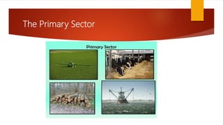 The Primary Sector
 