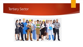Tertiary Sector
 