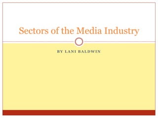 Sectors of the Media Industry

         BY LANI BALDWIN
 