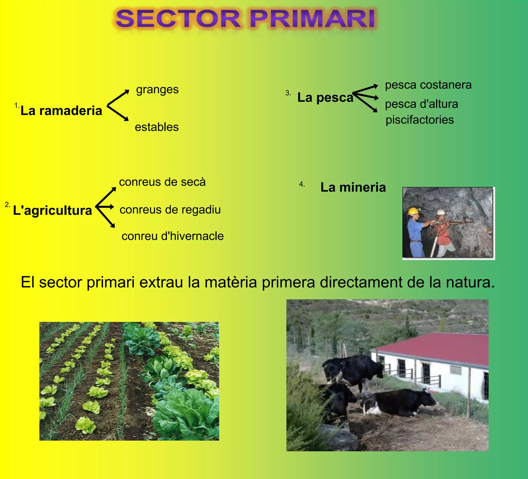 La ramaderia
granges
estables
L'agricultura
conreus de secà
conreus de regadiu
conreu d'hivernacle
La pesca
pesca costanera
pesca d'altura
piscifactories
3.
La mineria4.
1.
2.
El sector primari extrau la matèria primera directament de la natura.
 