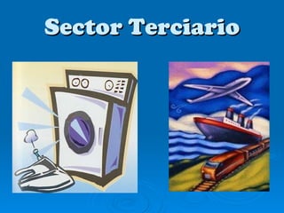 Sector Terciario 