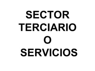 SECTOR  TERCIARIO  O  SERVICIOS 