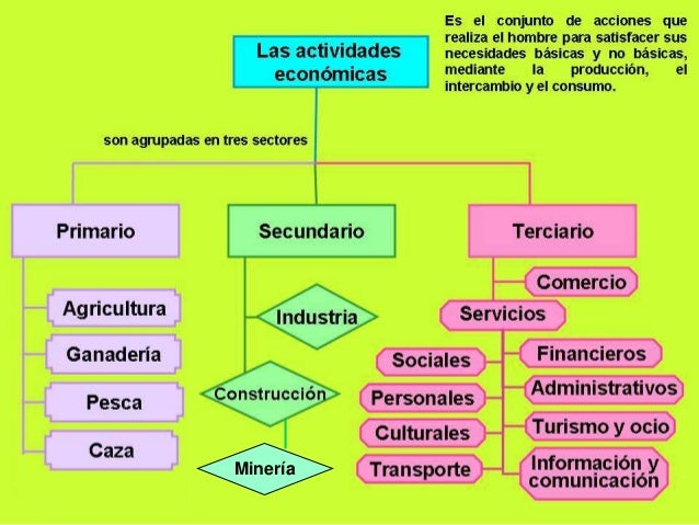T.8 Las actividades del sector terciario