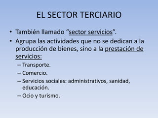 EL SECTOR TERCIARIO
• También llamado “sector servicios”.
• Agrupa las actividades que no se dedican a la
producción de bienes, sino a la prestación de
servicios:
– Transporte.
– Comercio.
– Servicios sociales: administrativos, sanidad,
educación.
– Ocio y turismo.
 