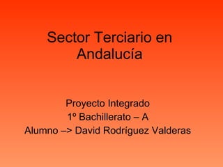 Sector Terciario en Andalucía Proyecto Integrado 1º Bachillerato – A Alumno –> David Rodríguez Valderas 