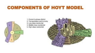 COMPONENTS OF HOYT MODEL
 