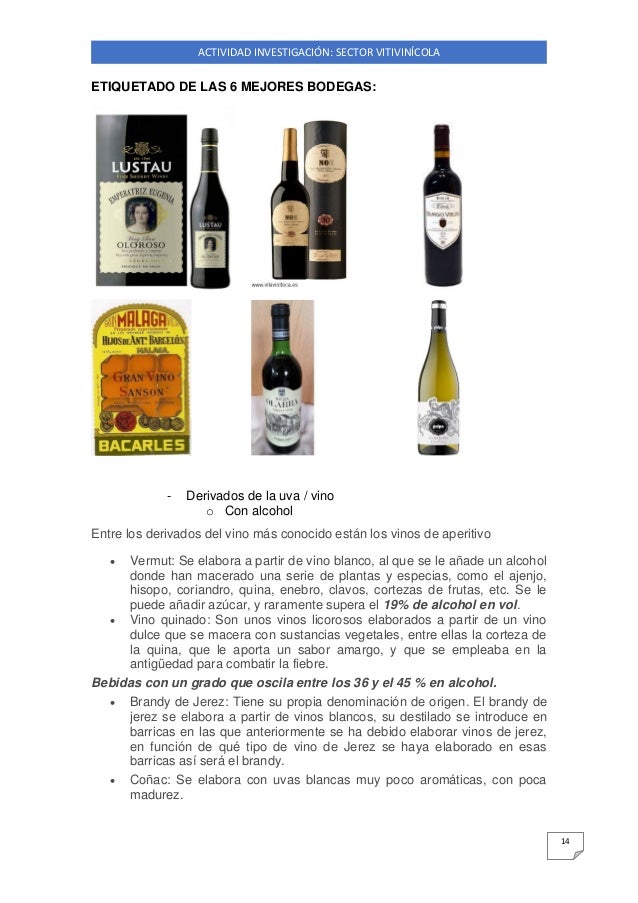 Sector Vitivinicola Cristina Gallego Blanco