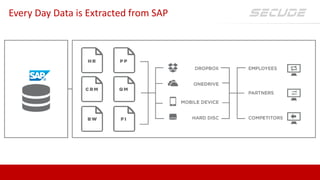Every Day Data is Extracted from SAP
 