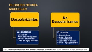 BLOQUEO NEURO-MUSCULAR 
Despolarizantes 
Succinilcolina 
• De elección 
• Actúa a los 45 segundos 
• Efecto 6 a 10 minutos 
• Dosis 1,5 mg/kg peso real 
No 
Despolarizantes 
Rocuronio 
• Segunda línea 
• Actúa a 1 minuto 
aproximadamente 
• Efecto 45 a 60 minutos 
• Dosis 1 mg/kg peso ideal 
Caro,D. Pretreatment agents for rapid sequence intubation in adults. In: Walls, RM (Ed), Grayzel, J (Ed), UpToDate, Waltham, MA, 2013. 
 