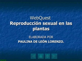WebQuest  Reproducción sexual en las plantas ELABORADA POR PAULINA DE LEÓN LORENZO. 