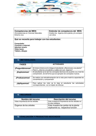 Competencias del MEN:
(Competencias en Ciencias Naturales:
Entorno vivo.
Estándar de competencia del MEN:
Analizo los órganos de la planta y lo comparo
con otros
Qué se necesita para trabajar con los estudiantes:
Computador
Conexión a Internet.
televisor smartv
Vídeo beam.
Tablero, dibujos
3. METODOLOGÍA:
FASES ACTIVIDADES
¡Preguntémonos! Al iniciar el tema se le indaga al estudiante ¿Reconoces una planta?
Para ti, ¿Qué es una planta y cuáles son sus órganos?
¡Exploremos! Al estudiante se le dan los conceptos técnicos de acuerdo a su nivel de
comprensión, de tal forma que se apropien de conceptos nuevos.
¡Produzcamos! Se realiza una retroalimentación de lo visto para medir la capacidad de
concentración y comprensión
¡Apliquemos! Para aplicar los visto se le deja al estudiante las actividades
correspondientes con el objeto de reforzar.
4. RECURSOS
Nombre del recurso Descripción del recurso
Video importancia de los arboles Este muestra la importancia de los árboles en
la vida cotidiana
Órganos de los arboles Este muestra las partes de la planta
explicando su respectiva función
5. EVALUACIÓN Y PRODUCTOS ASOCIADOS
 