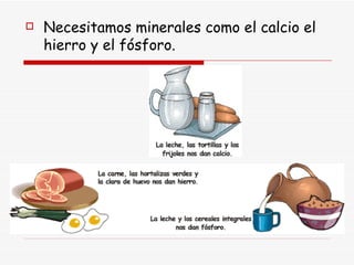 Necesitamos minerales como el calcio el hierro y el fósforo. 