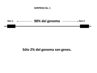SORPRESA No. 1




Gen 1         98% del genoma            Gen 2




        Sólo 2% del genoma son genes.
 